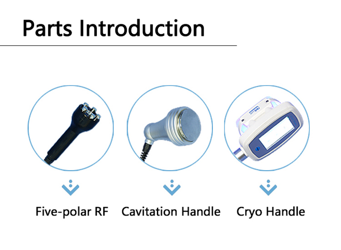 parts introduction parts introduction